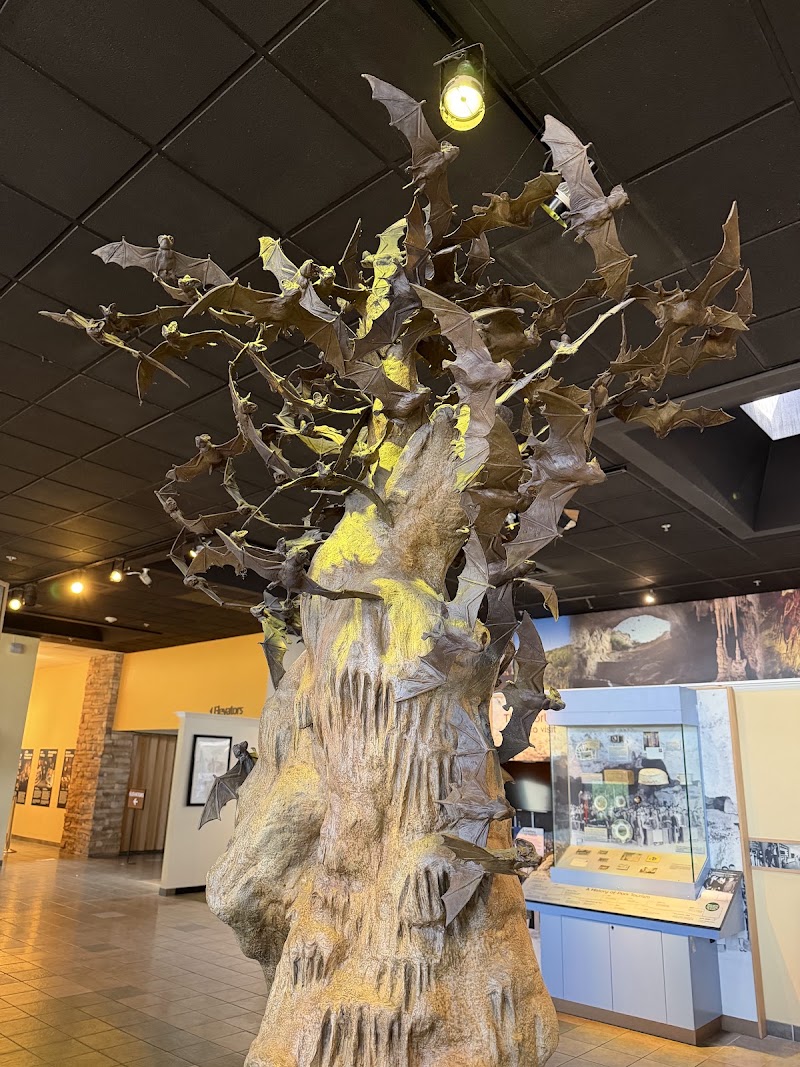 Carlsbad Caverns National Park Visitor Center
