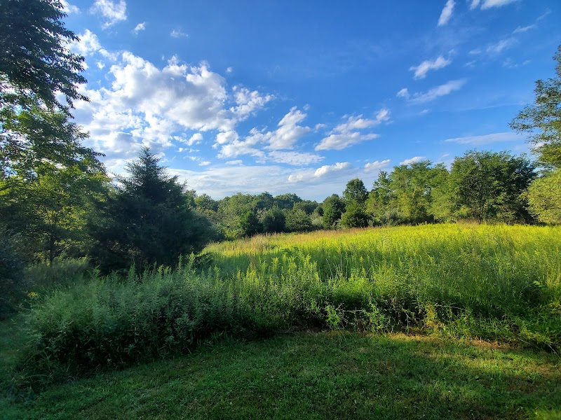 Cool Spring Preserve