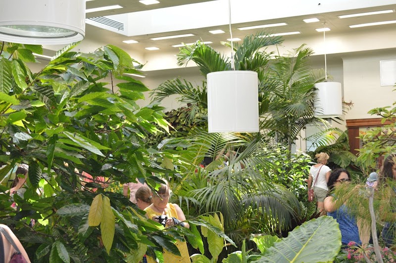 The Butterfly Atrium at Hershey Gardens