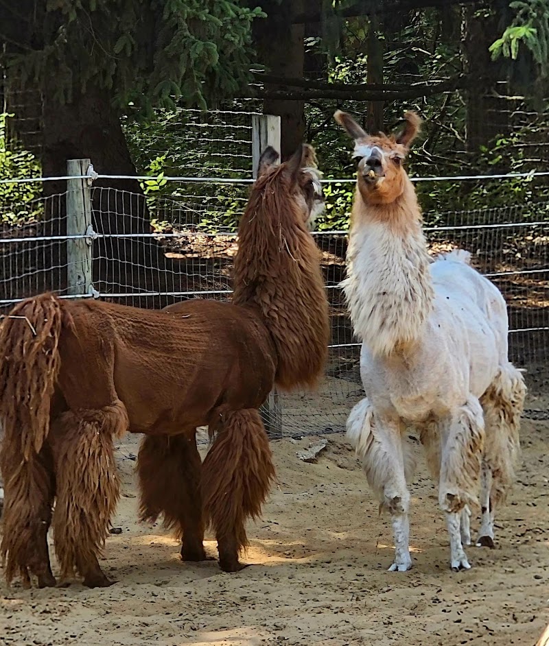 Fellinlove Farm