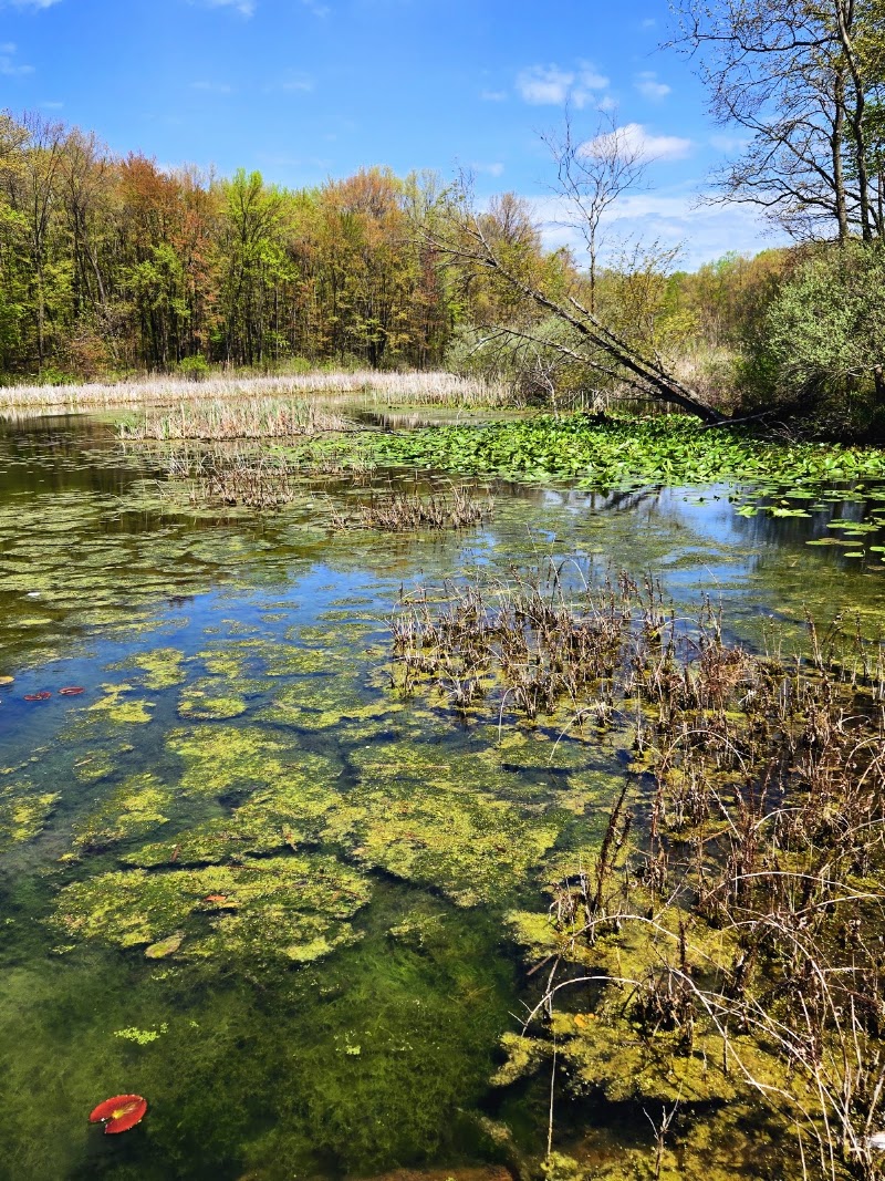 Red Mill County Park