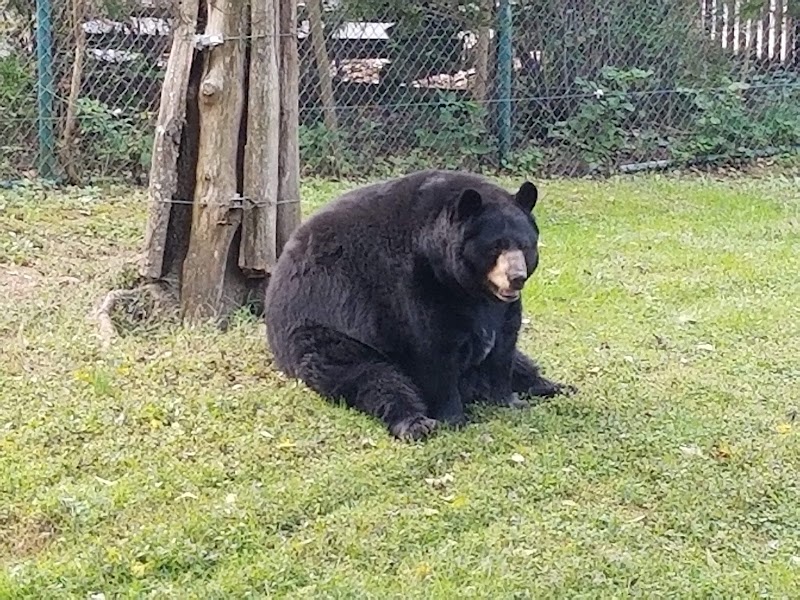 Salato Wildlife Education Center