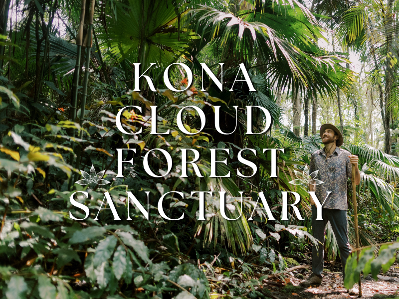 Kona Cloud Forest Sanctuary