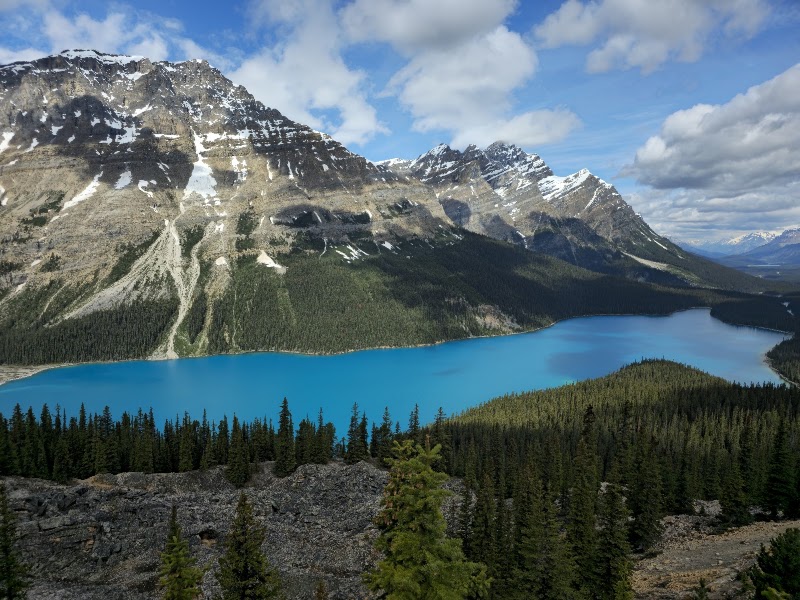 Peyto Lake Viewpoint