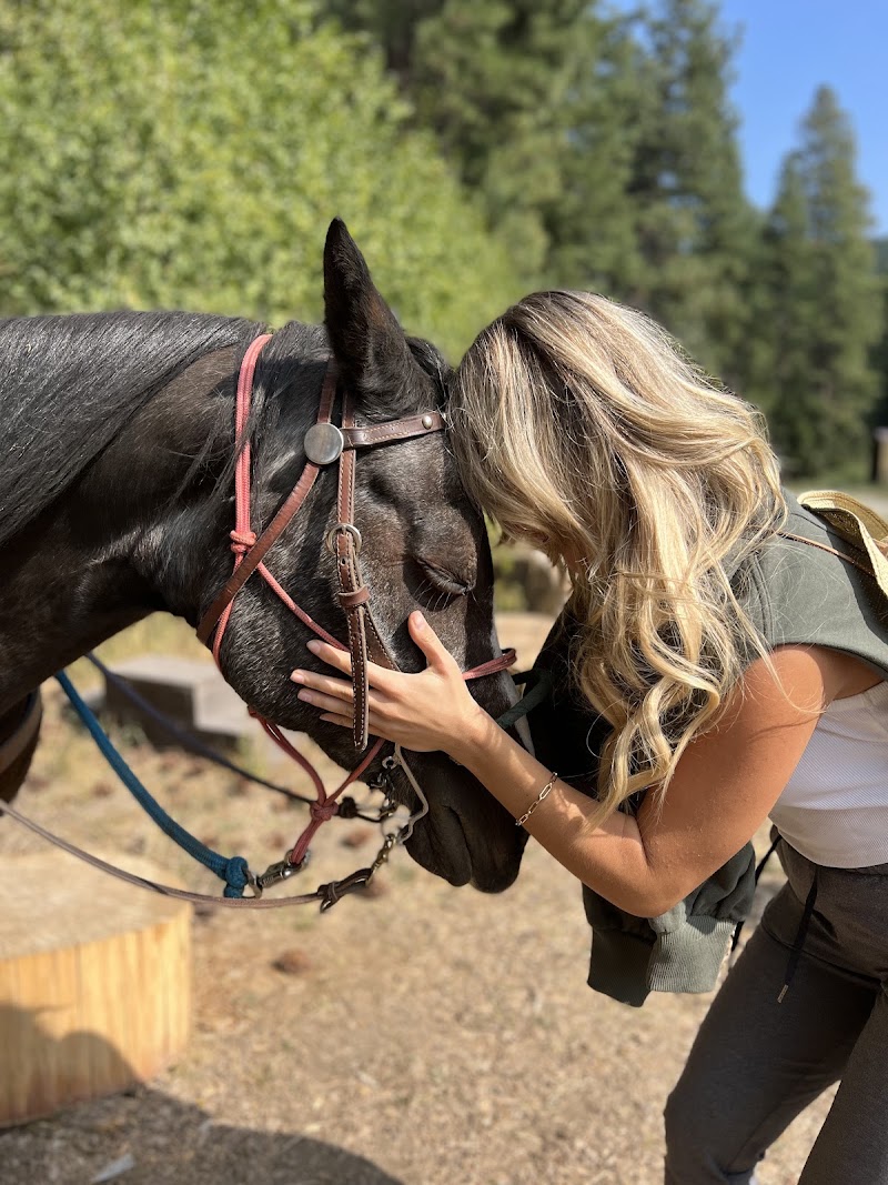 Wild At Heart Horse Rides