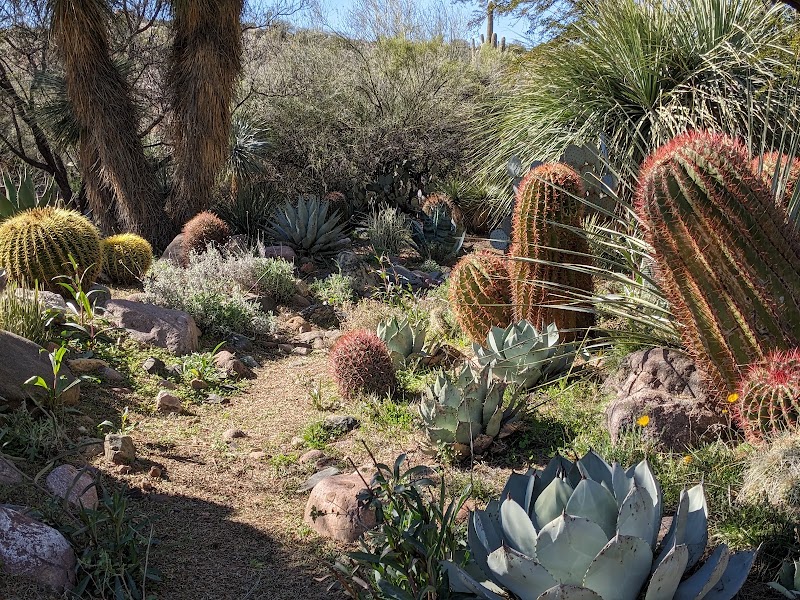 Boyce Thompson Arboretum