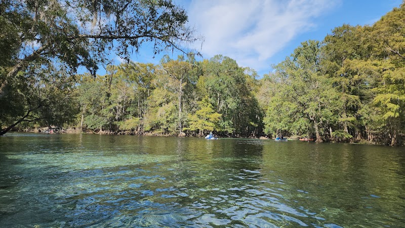 Devil's Ear Spring