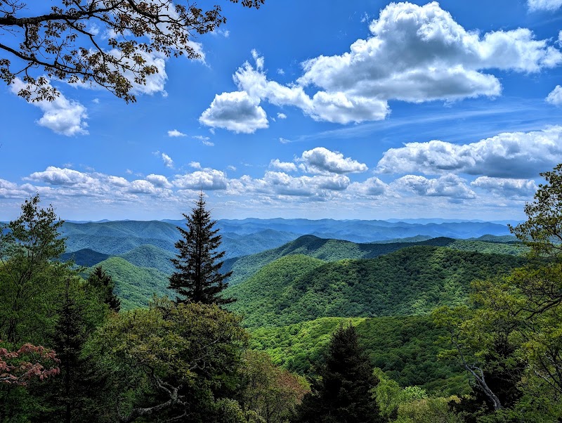Roy Taylor Forest Overlook