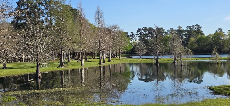 Burroughs Park