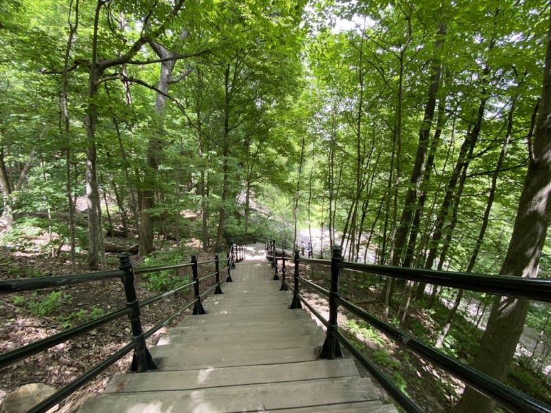 Grand Staircase of Mount Royal