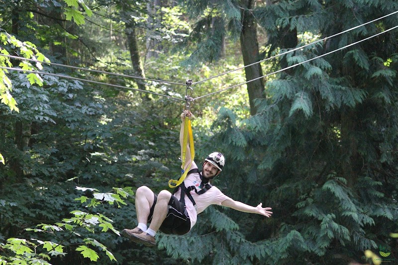 Canopy Tours NW - Zipline Tour, Team Building Challenge Course