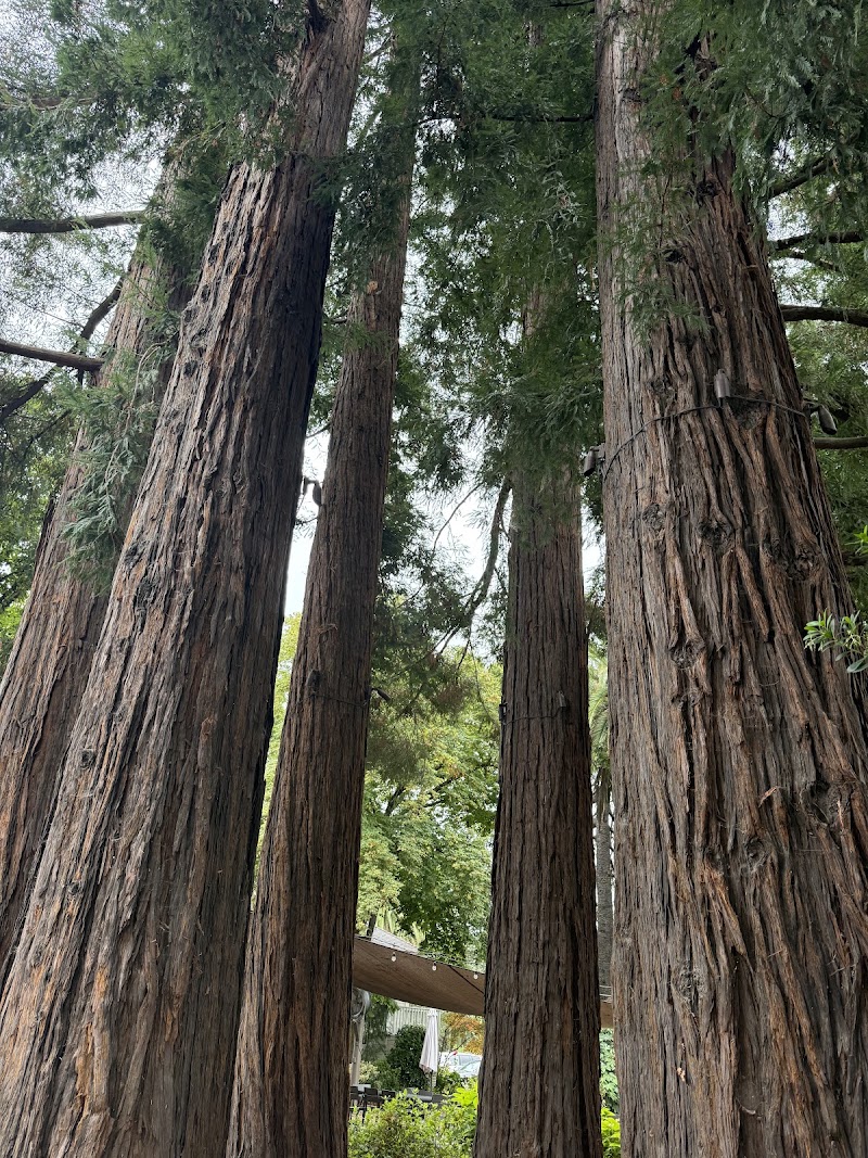 Sequoia Grove Winery