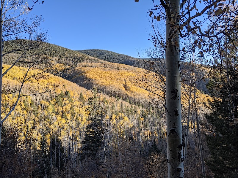 Aspen Vista Picnic Ground
