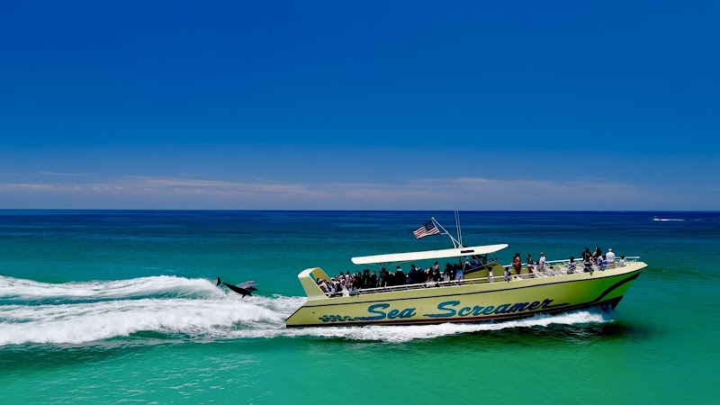 Sea Screamer