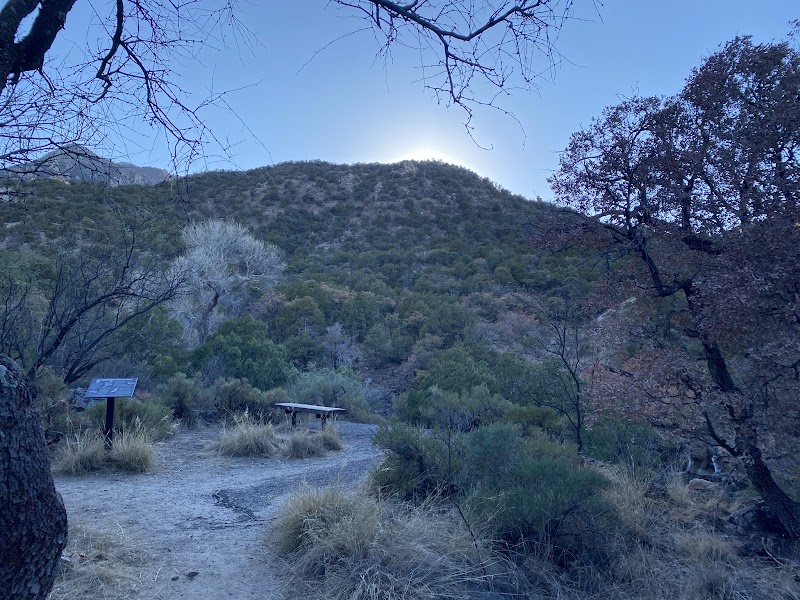 Madera Canyon Picnic Area