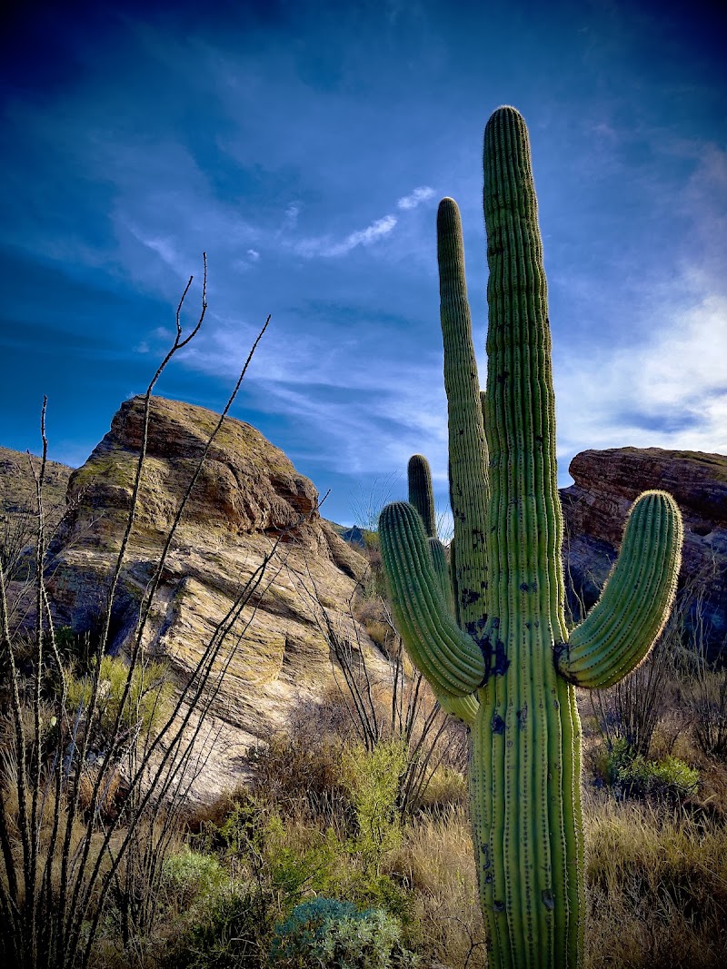 Javelina Rocks