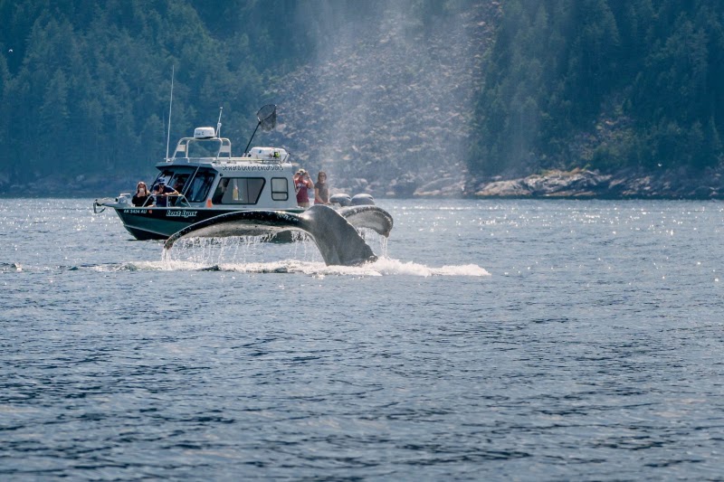 Seward Ocean Excursions