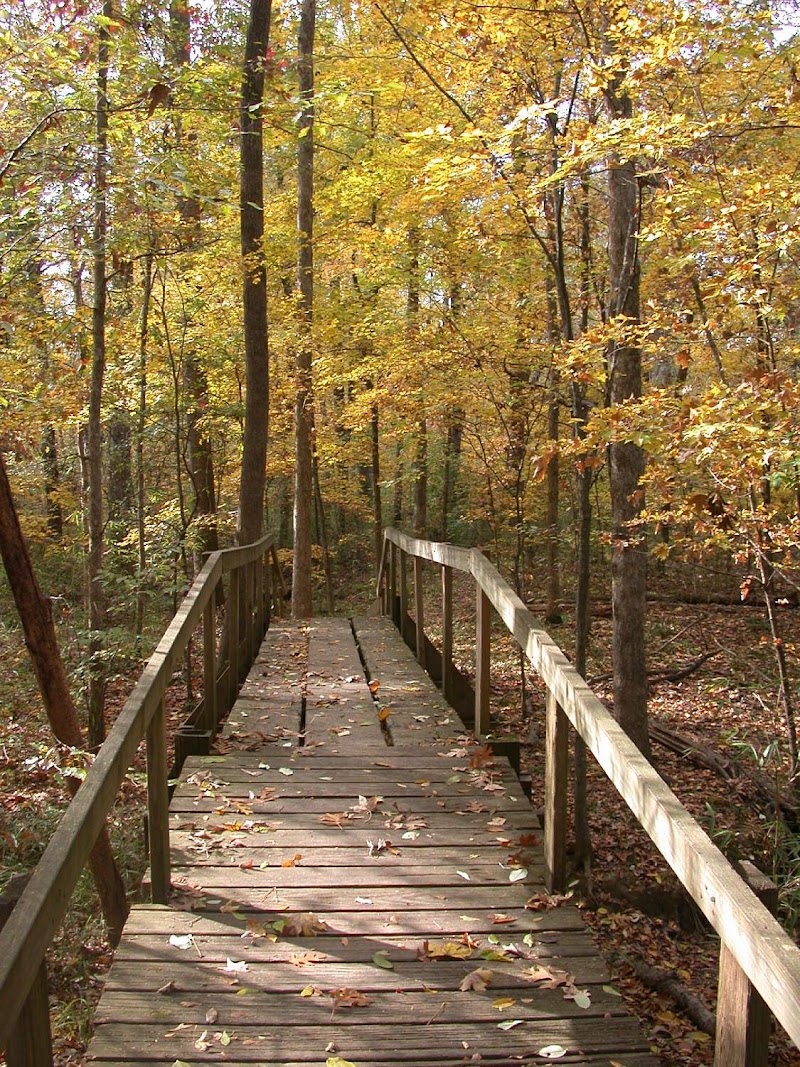 Walter B Jacobs Nature Center
