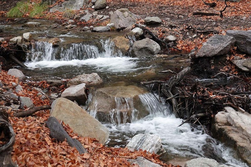 Ramsey Canyon Preserve