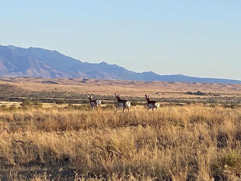 Empire Ranch Foundation