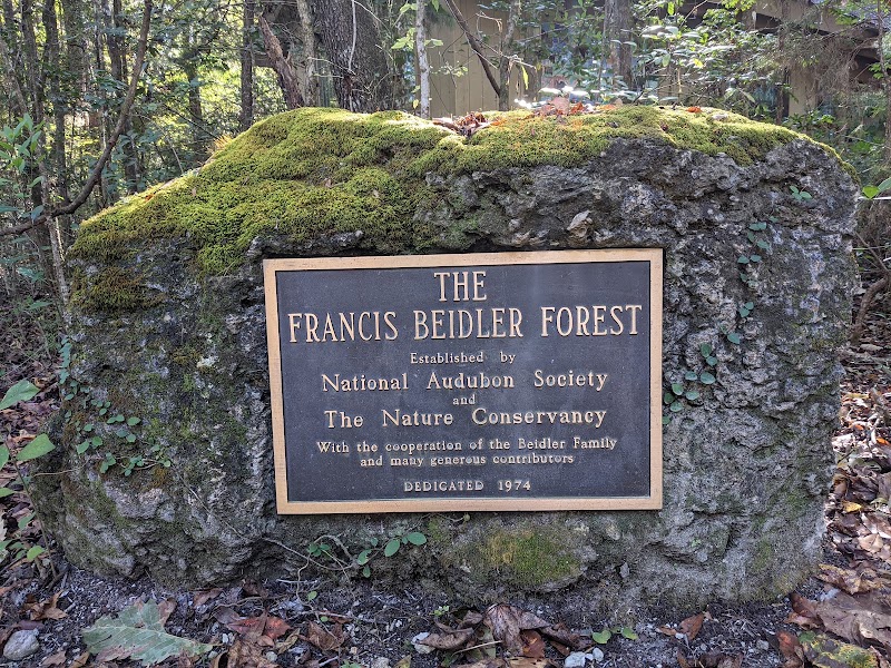 Audubon's Beidler Forest Sanctuary