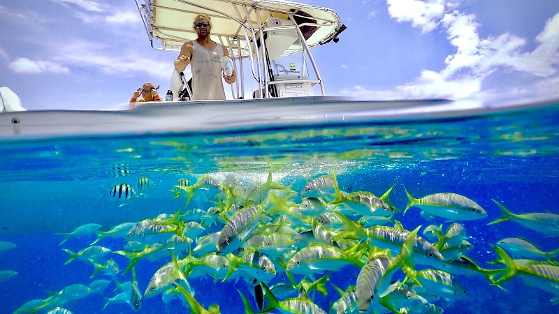 Saltwater Seafari Snorkeling and Sandbar Tours