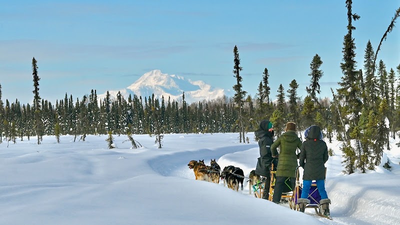 Susitna Sled Dog Adventures