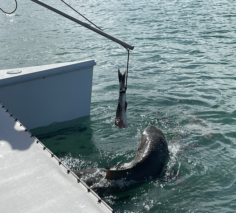 Key West Extreme Adventures
