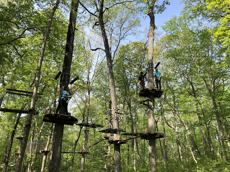 TreeTrails Adventures Mystic
