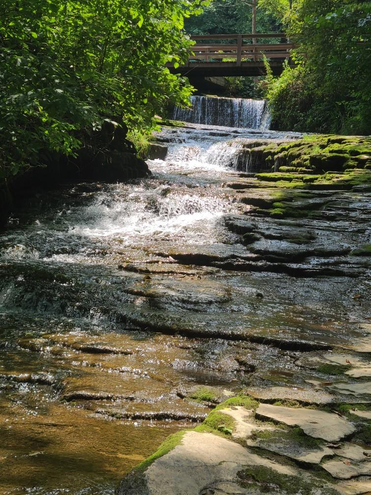 Saunders Springs Nature Preserve