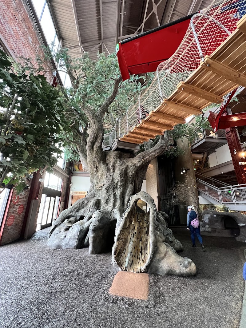 Outdoor Adventure Center