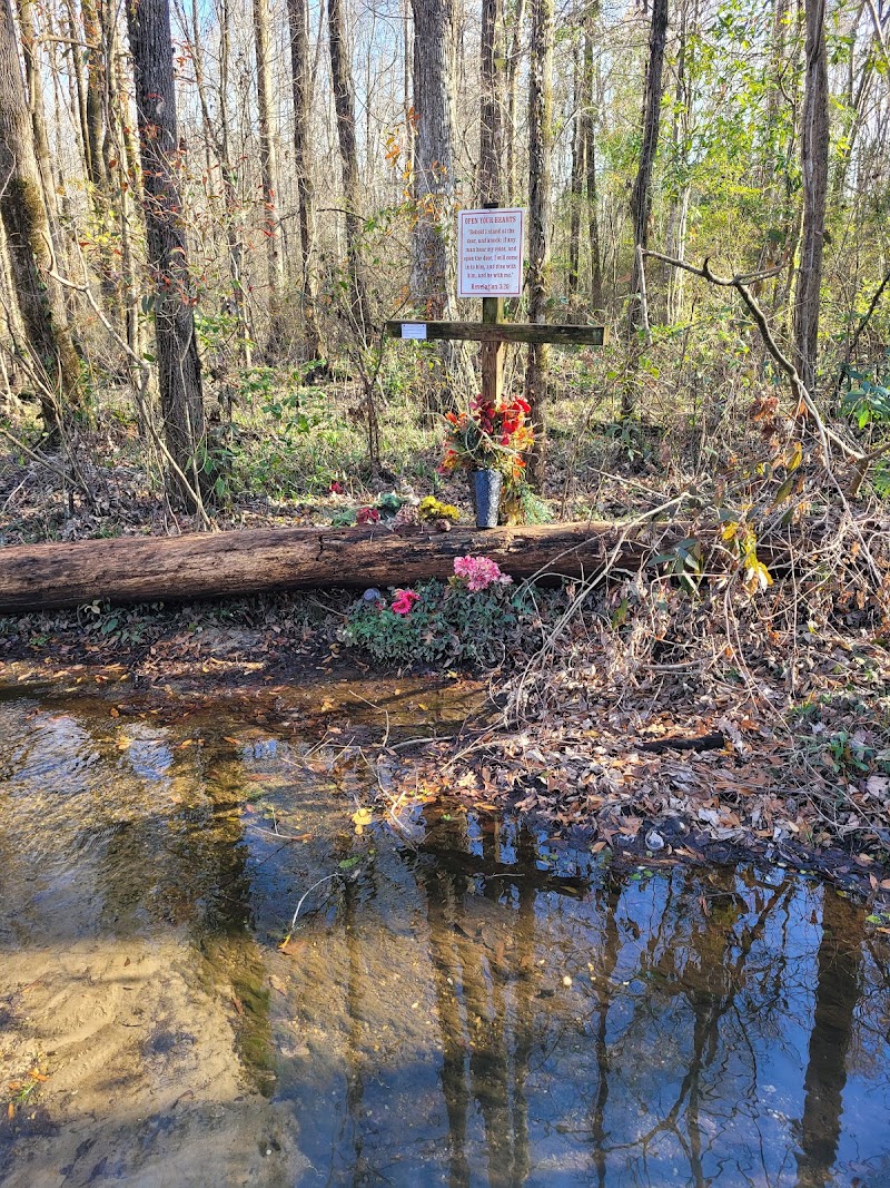God's Acre Healing Springs