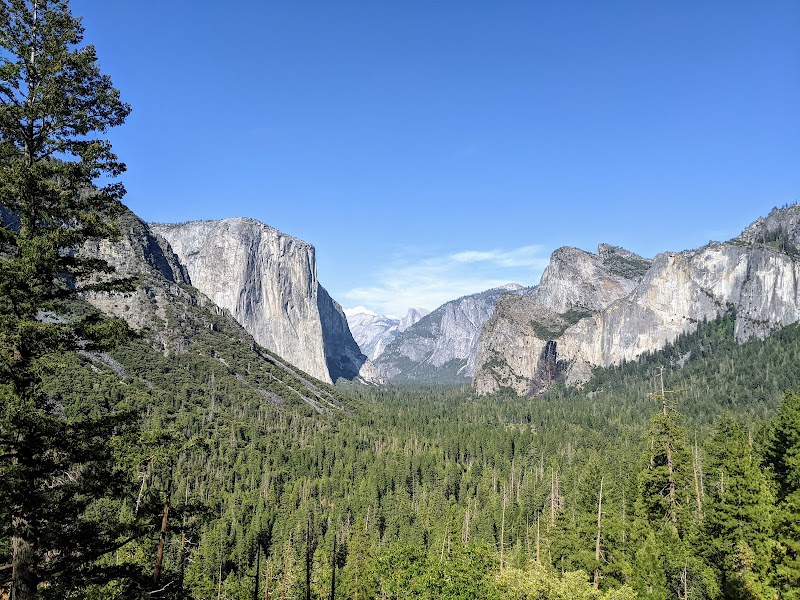 Yosemite Valley View