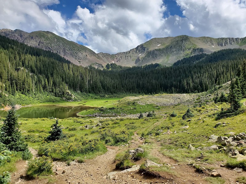 Carson National Forest