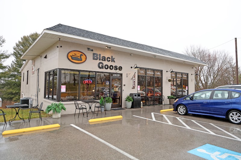 The Black Goose