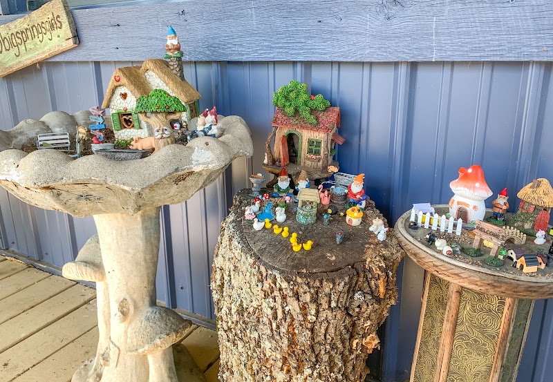 Big Springs Trading Company