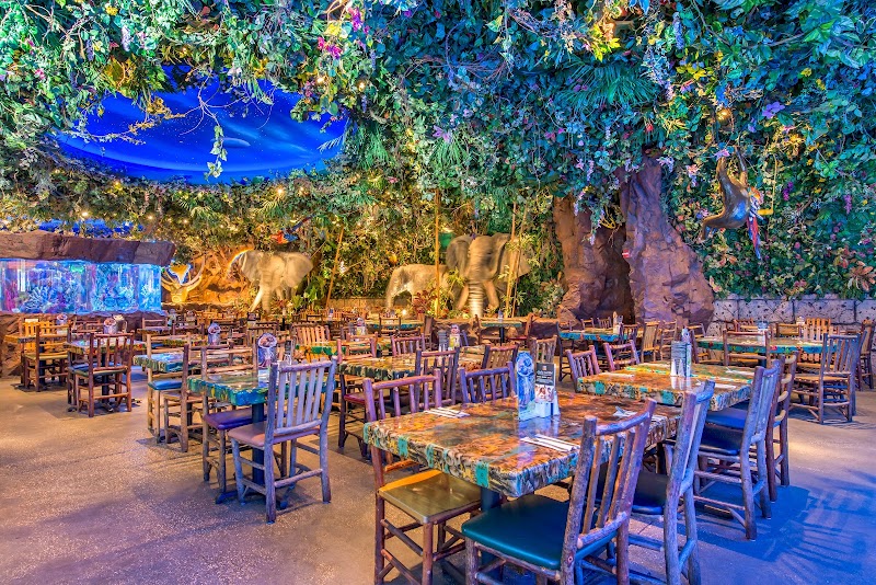 Rainforest Cafe