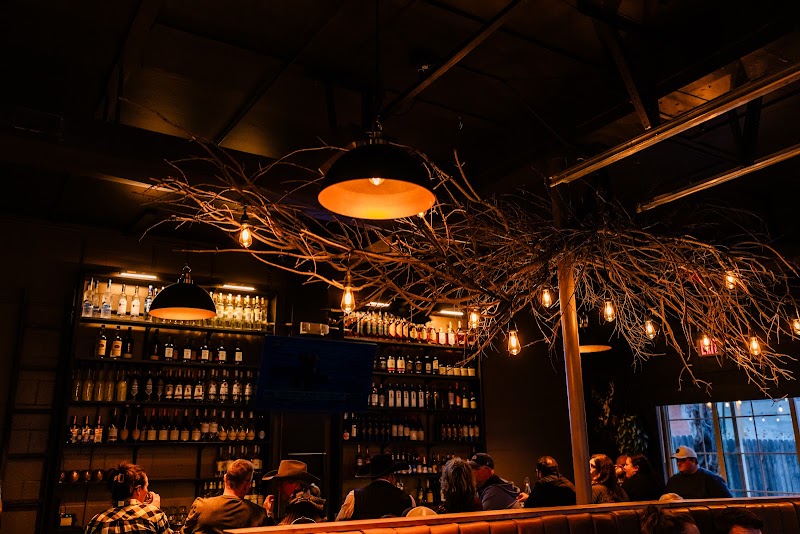 The Tangled Tumbleweed